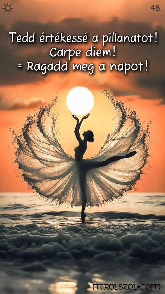Napi kártya