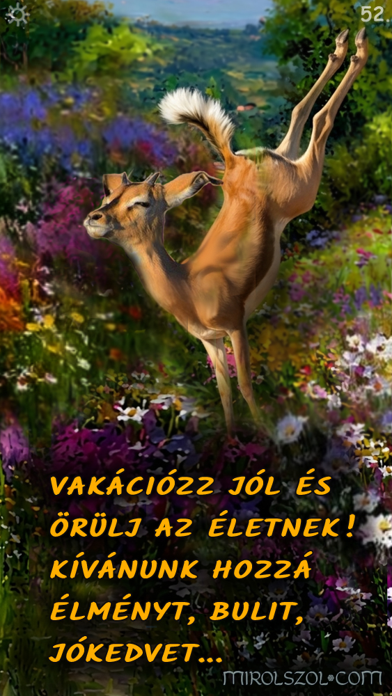 Napi kártya