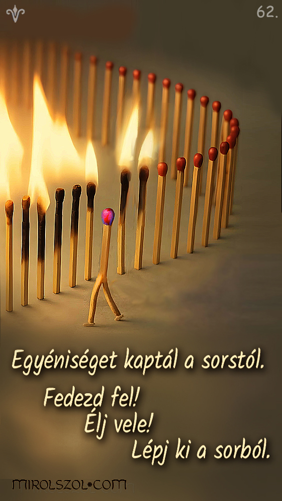 Napi kártya