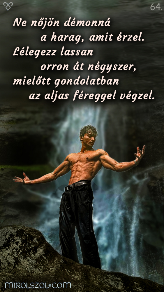 Napi kártya