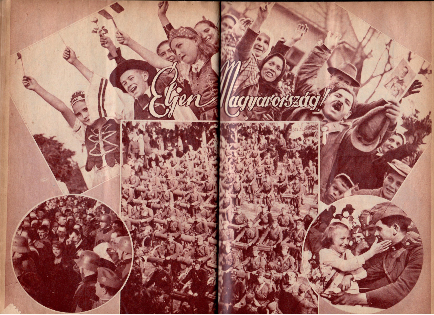 Napi kártya galéria kép